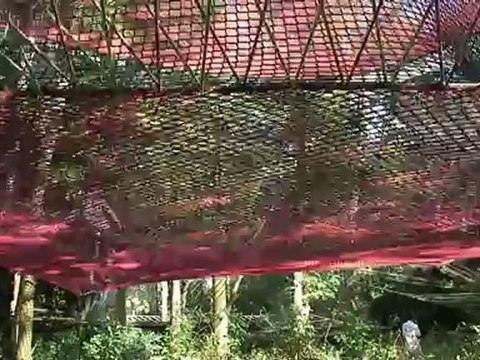 Télé Sud Vendée Info Fontenay-le-comte Temps forts de l'animation estivale 2012