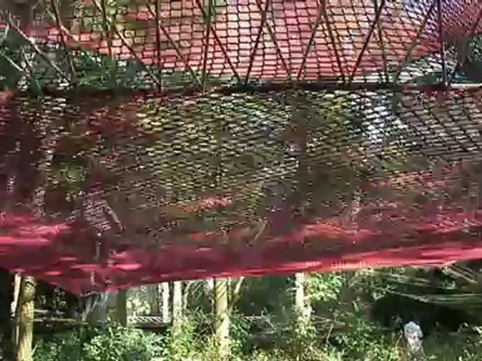 Télé Sud Vendée Info Fontenay-le-comte Temps forts de l'animation estivale 2012