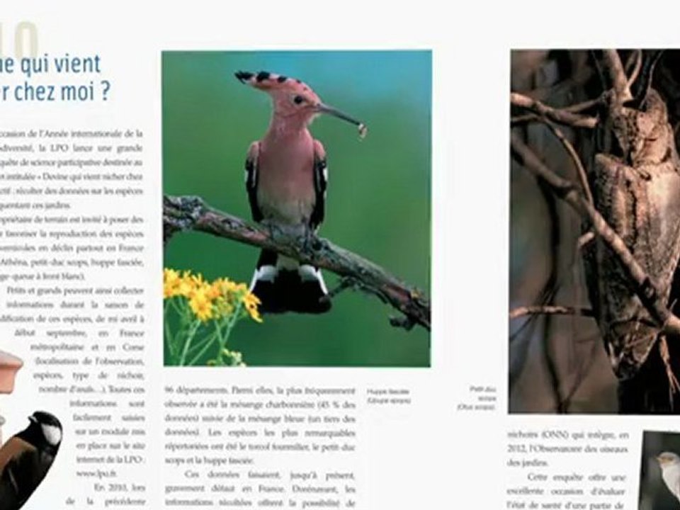 Protéger les oiseaux LPO