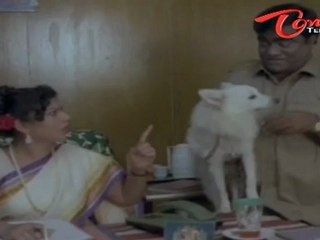 Telugu Comedy Scene - Y Vijaya Hilarious Grammar Mistakes