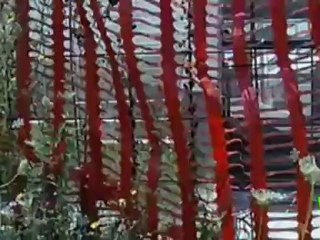 Video: intervista di fine mandato del Questore Capocasa