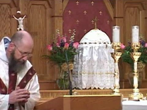 Nov 29 - Homily: Holy Franciscans!