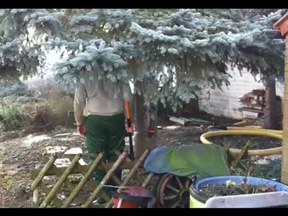 Baum fällt auf Haus