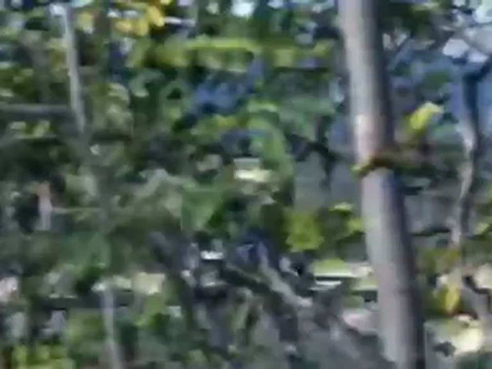 Automobile Träume der Zukunft | Motor mobil