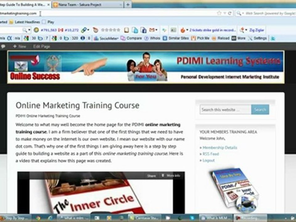 What Is MLM 2