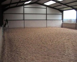 28.11.2012 pirouette au galop