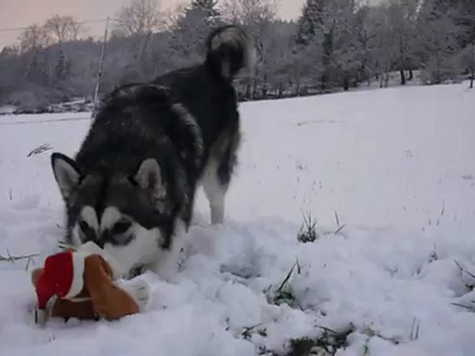 hindiana Christmass