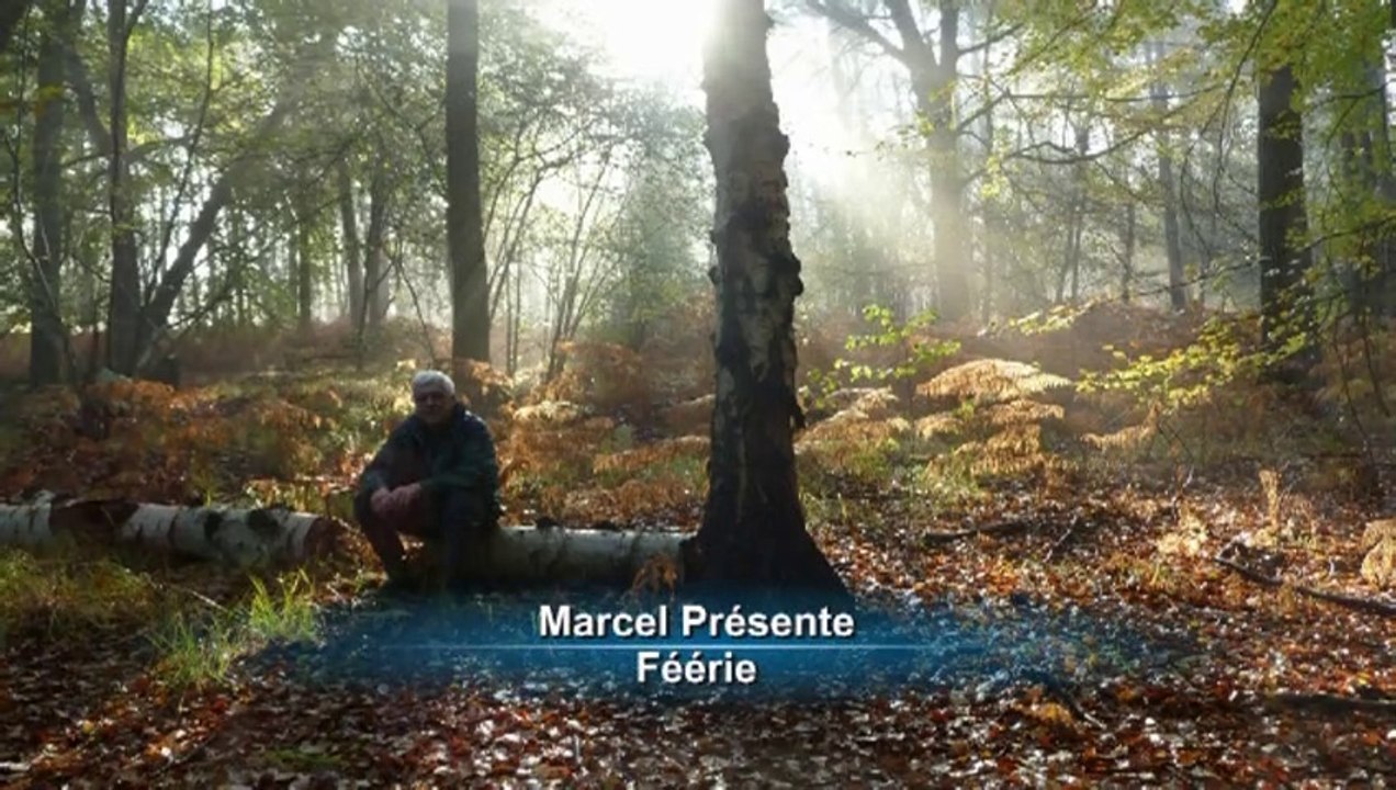 feerie