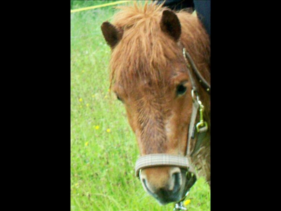 Ma ptite Virgule