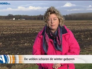 Het Weer [29-11-2012] - RTV Noord