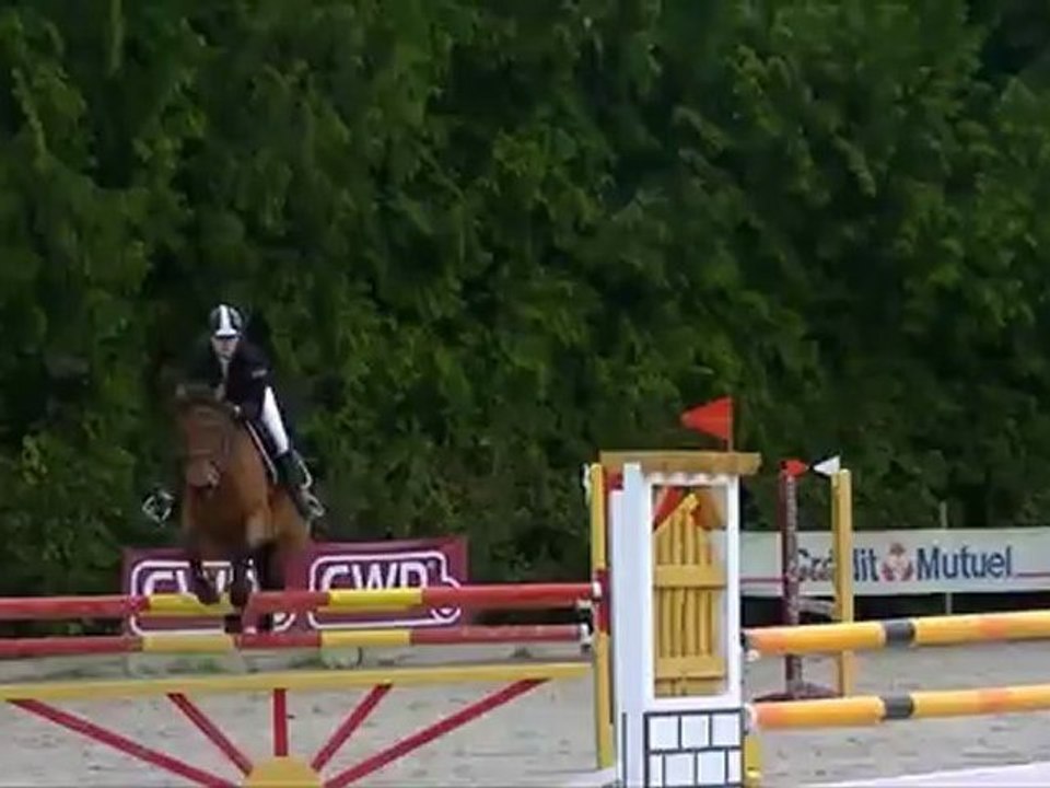 jalna de joyeuse- Laura Touchard