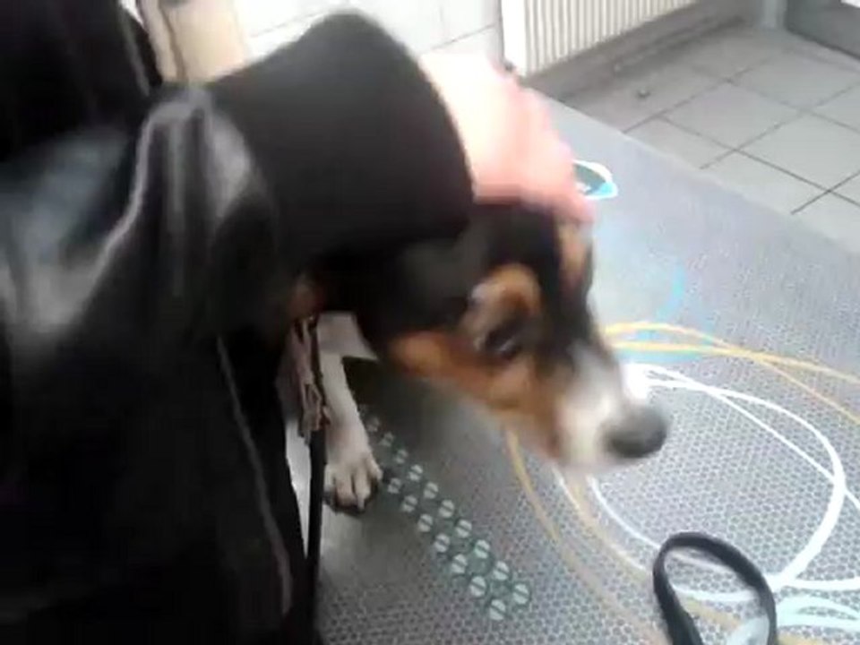 video-2012-11-27-15-16-36