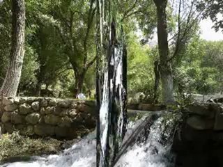 efecan merhaba elvada