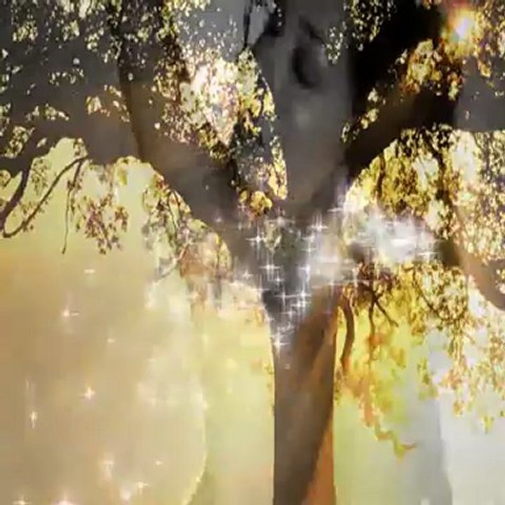 kirpiğin kaşına değdiği zaman - güler duman