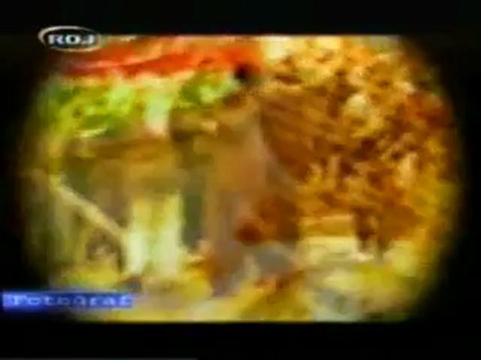 Cizre 1992 Newroz Serhildani - 2