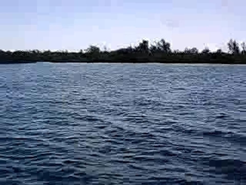 Ile aux cerfs, 01-10-06