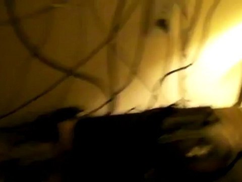 I AM A CONSOLE WHORE!