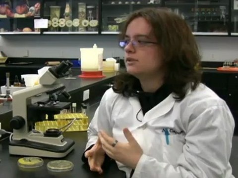 Laboratory Assistant Course at Centennial College