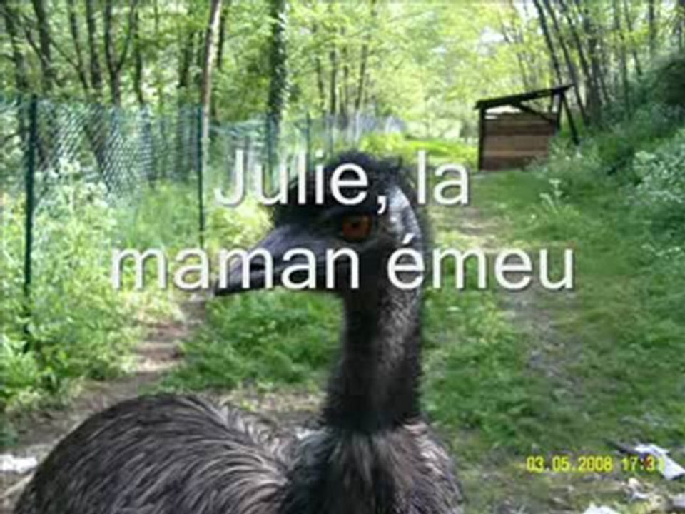 Punk a chèvres