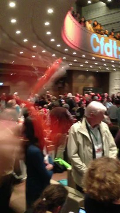 CFDT AG des Syndicats 28-29 nov 2012 Paris 2/7