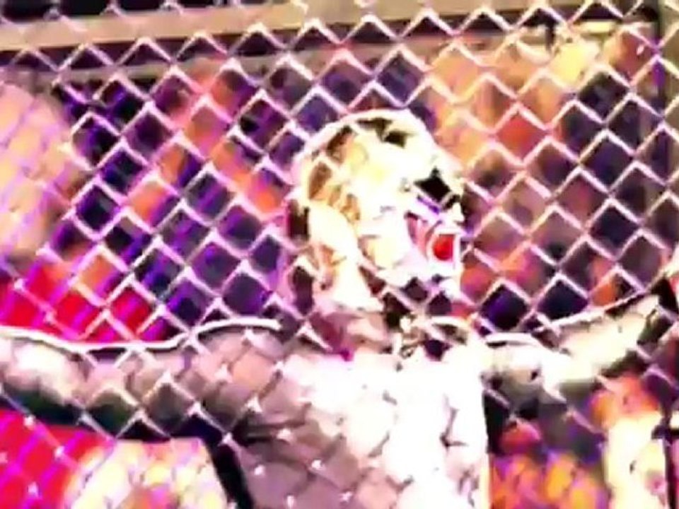 TNA iMPACT 11/29/12 - Part 4/6 (HQ)