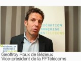 Goeffroy Roux de Bézieux, Vice-Président de la FFTélécoms