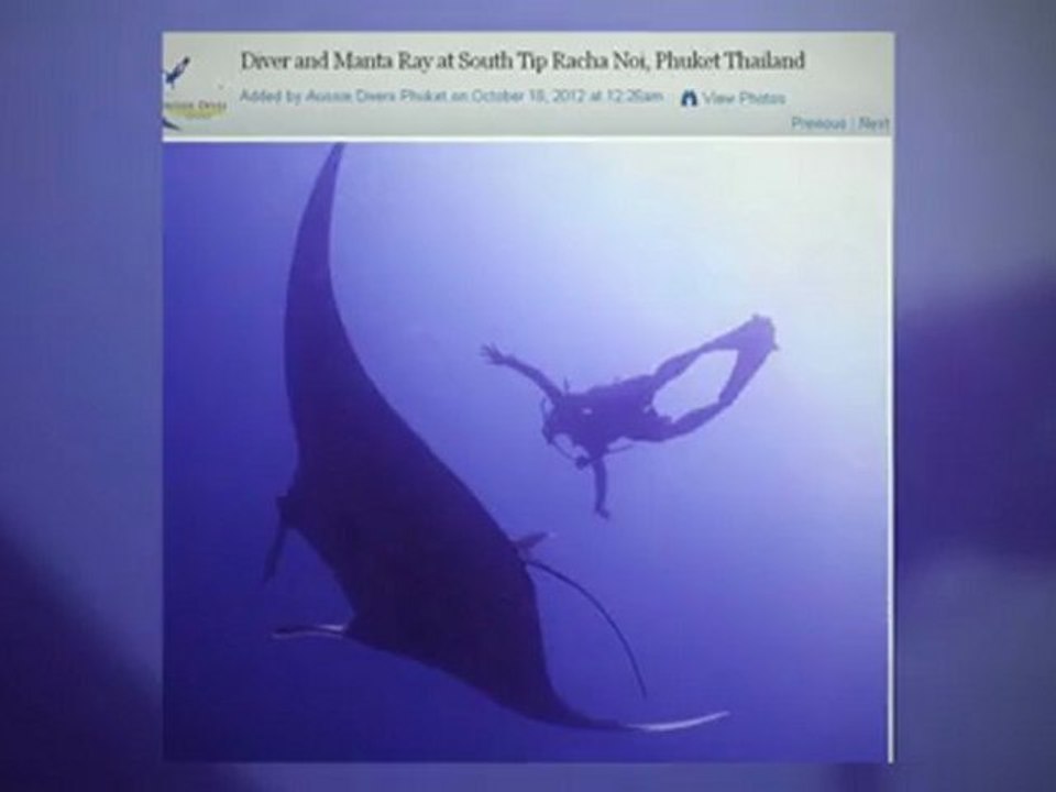 Scuba Diving Blog