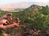 History of Lebanese Wine Industry: The Art of Wine-making in Lebanon