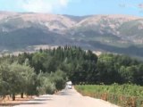 Bekaa Valley Wine Tasting | The Birth of Lebanese Oenotourism