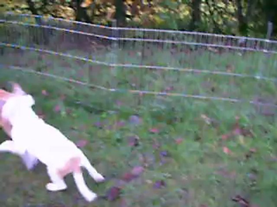 VIDEO du 01.12.12 des 2 soeurs ...