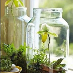 occo mahabad-çend helbest...