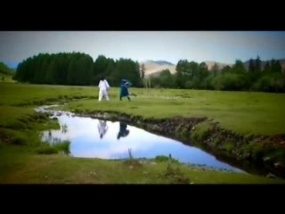 Hoshin Shog: Mastering the Art of Strategic Planning 🎯