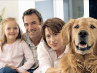 Privacy Fence Keep the Neighbors Out of Your Business