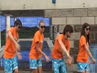 Le Poussin Piou : La Chorégraphie Officielle