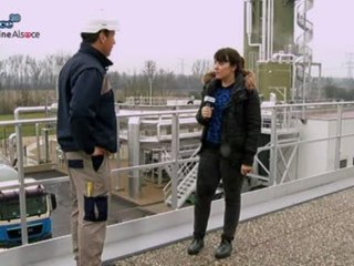 Hebdo DD : Le développement durable en Alsace (29/11)