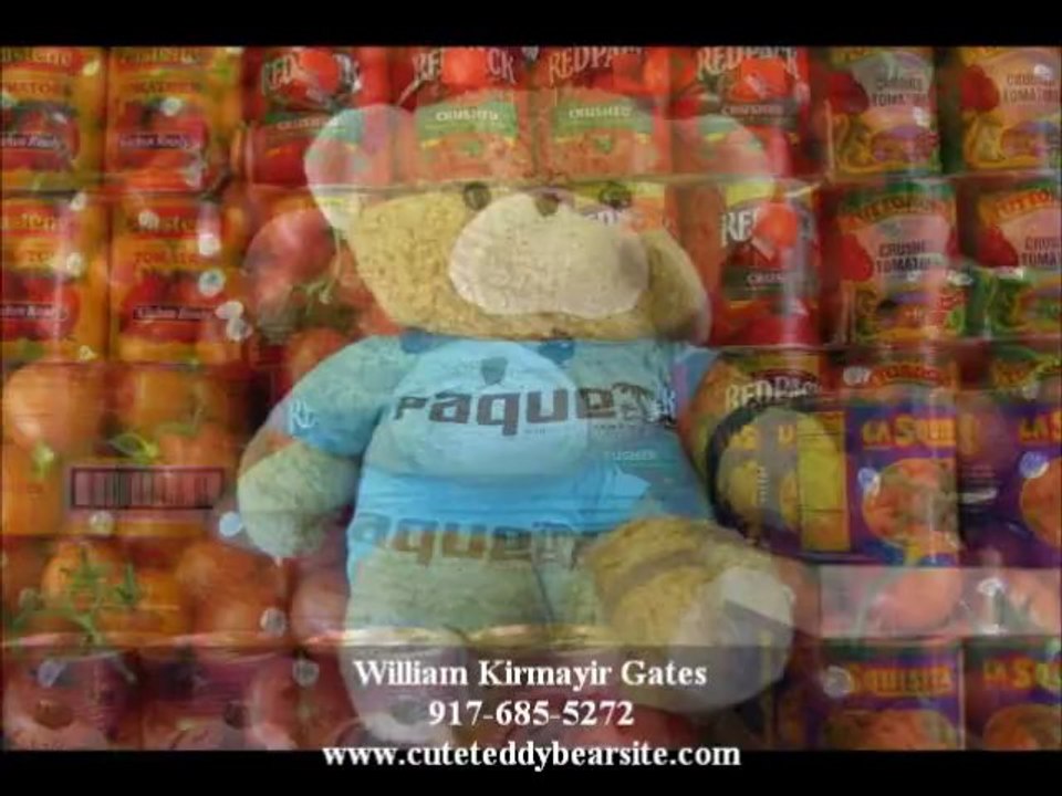 Teddy Bear Photo Gallery Teddy Bear Pictures