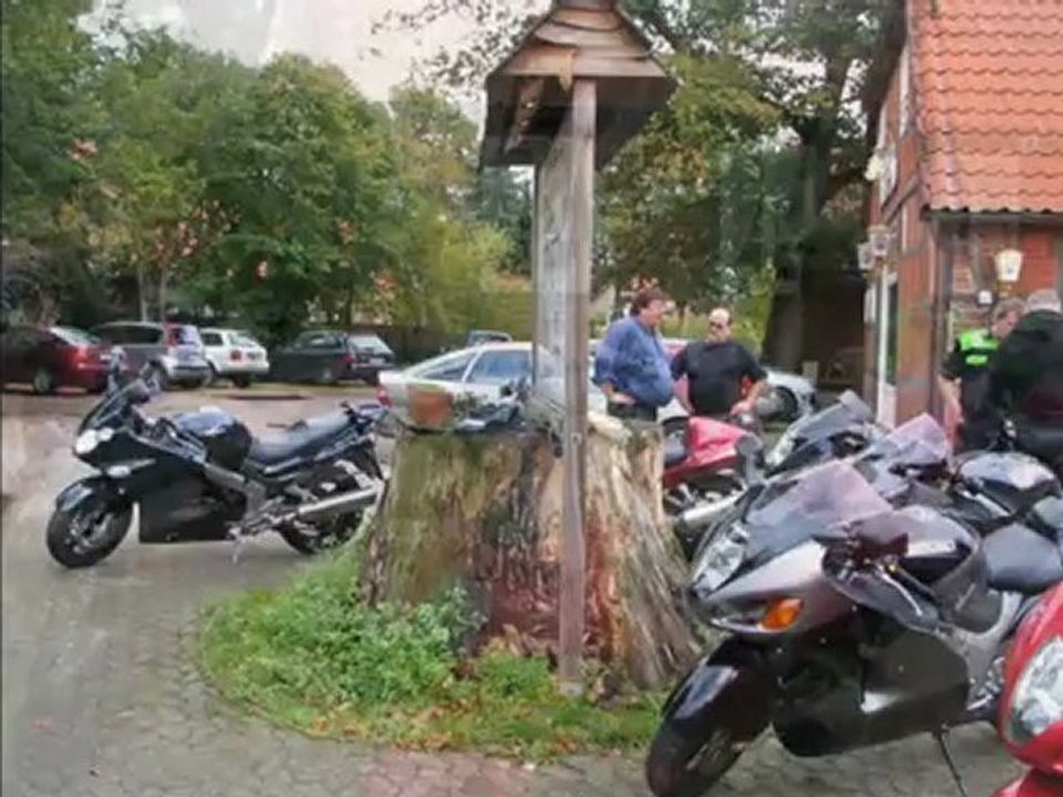 Frösche_unter_falken