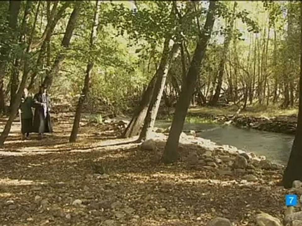 MARTIN MARIA FERNANDO ESTOY CUIDANDO A D.ANSELMO ESDPV 30-11-2012