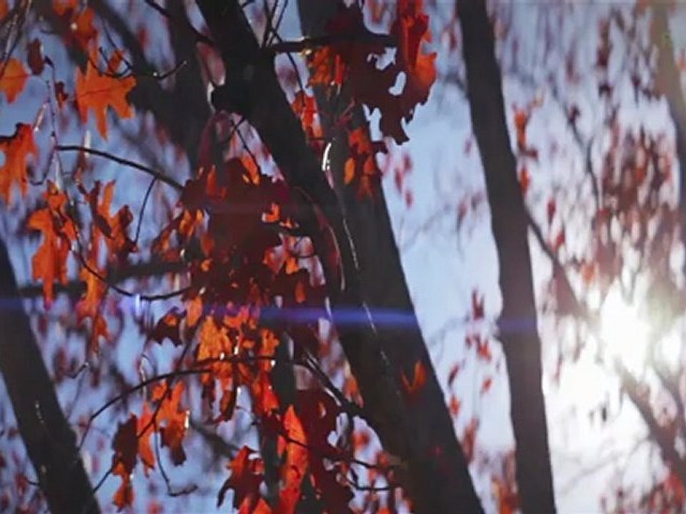 Shooting Anamorphic: Lenses Vs. Filters! - Film Riot