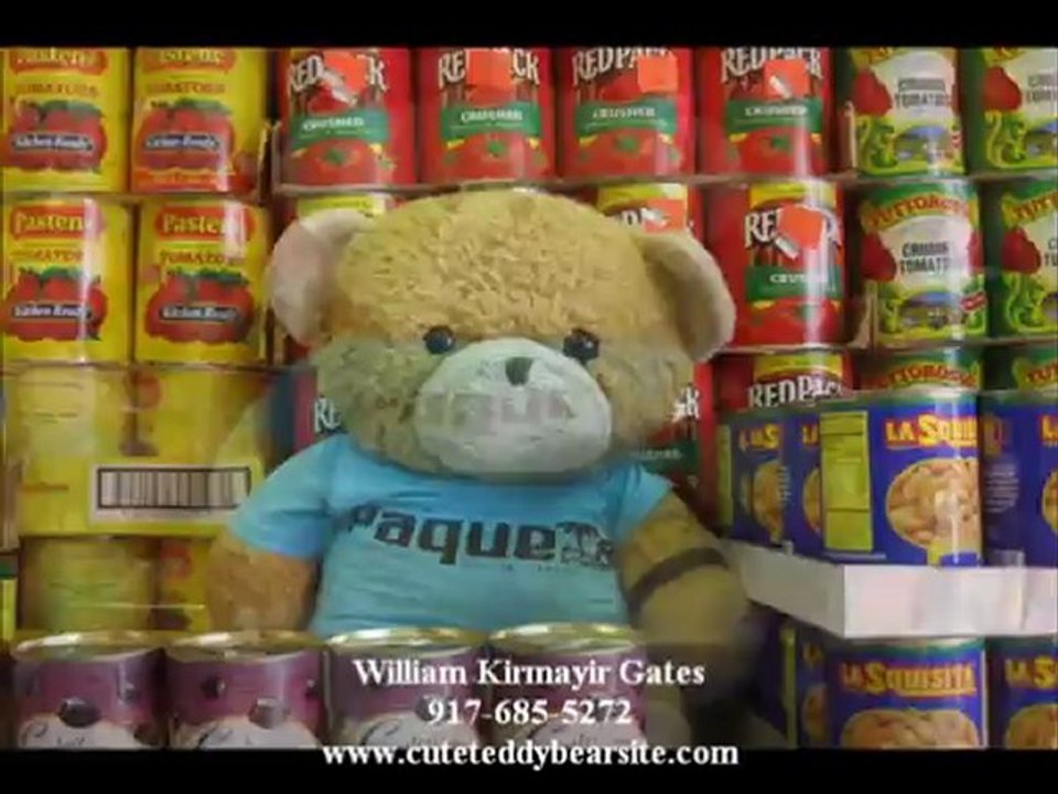 Teddy Bear Book Books for Children