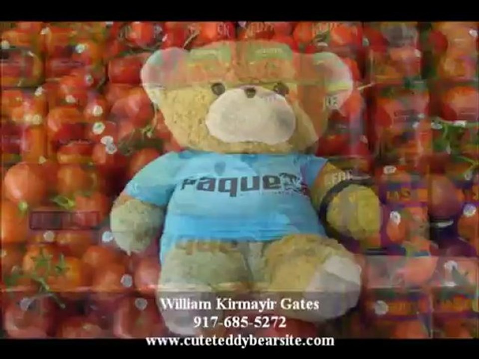 Teddy Bear Books Books for Kids