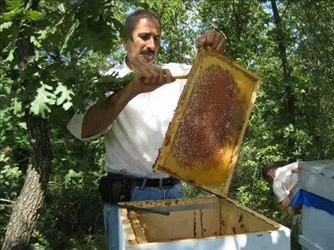 Bal hasadı videosu, Beykoz İsaklı,Yusuf Şimşak ile Ali Türk