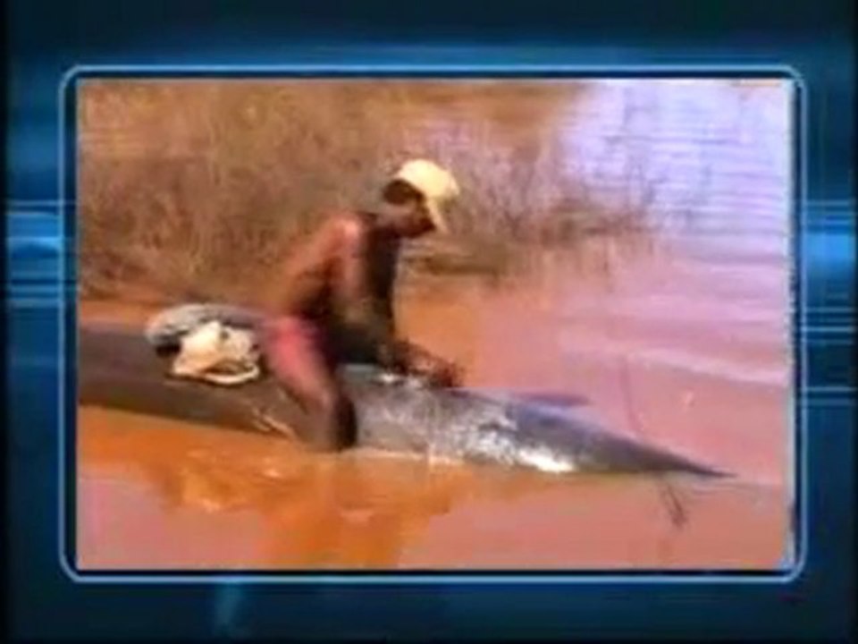 TVM - malagasy 30 Novembre 2012