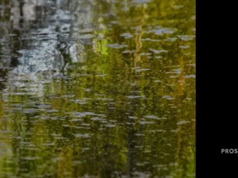 Cours de photographie région de Sherbrooke