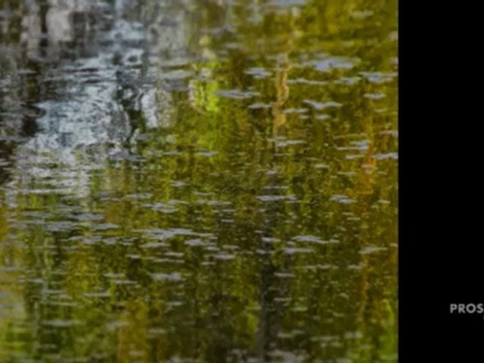 Cours de photographie région de Sherbrooke