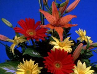 Tere Tum Ta Na - Sabita Chowdhury