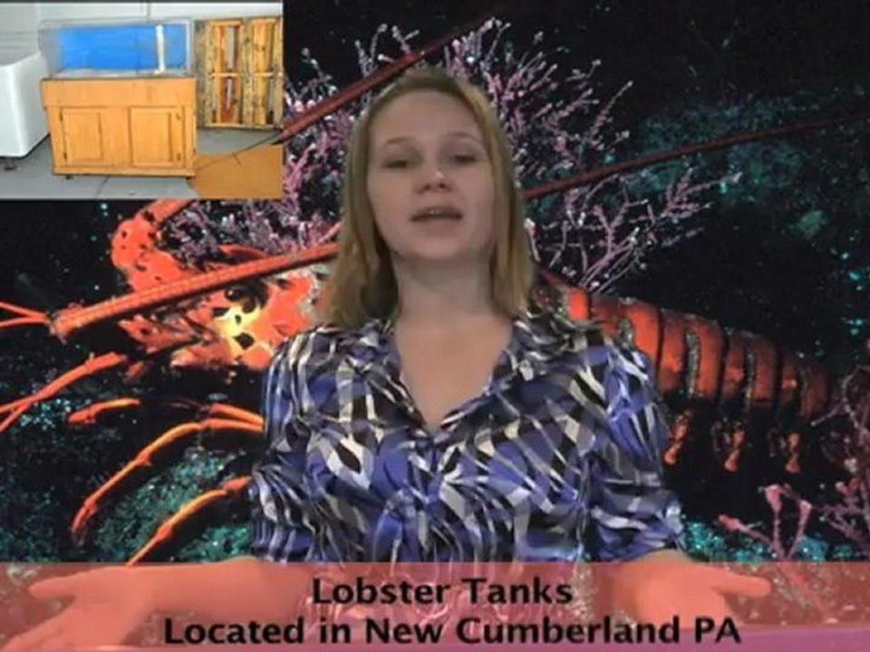 Lobster Tank Auction