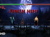 Sub-zero FATALITY mortal kombat shaolin monks - fan made (ANIMATION-FLASH)