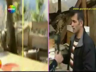 Artvin Karakovan Balı