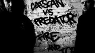 Catscan vs Predator - Repartition